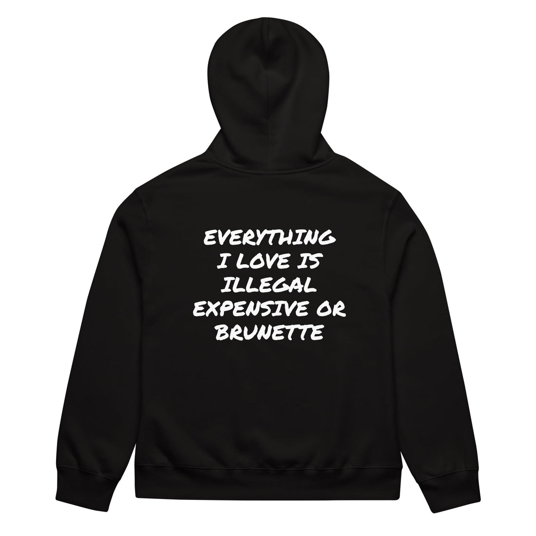 EVERYTHING I WANT IS ILLEGAL EXPENSIVE OR BRUNETTE HOODIE