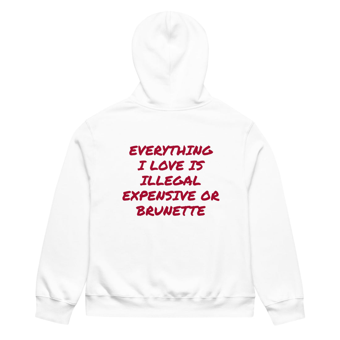 EVERYTHING I LOVE IS ILLEGAL EXPENSIVE OR BRUNETTE HOODIE