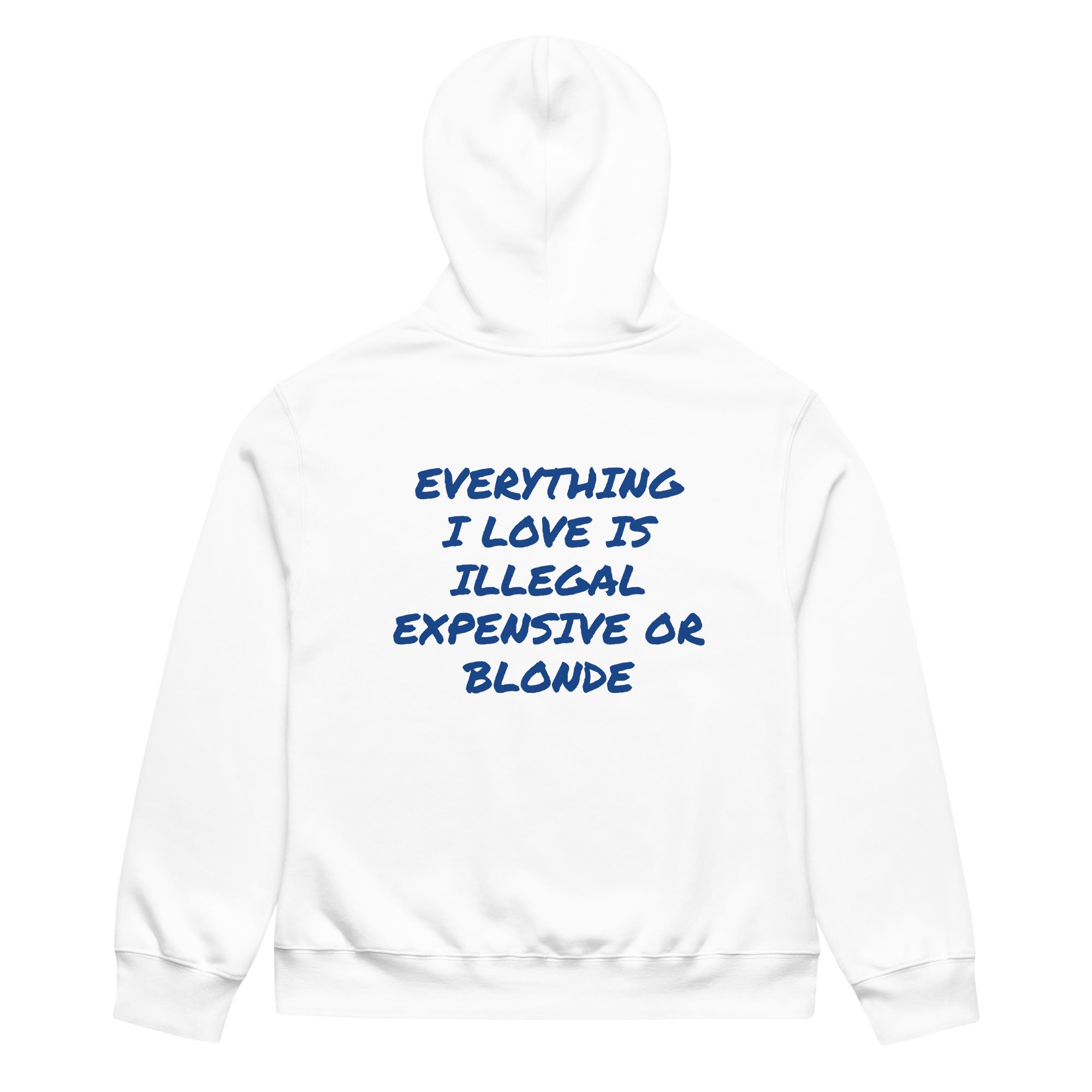 EVERYTHING I LOVE IS ILLEGAL EXPENSIVE OR BLONDE HOODIE